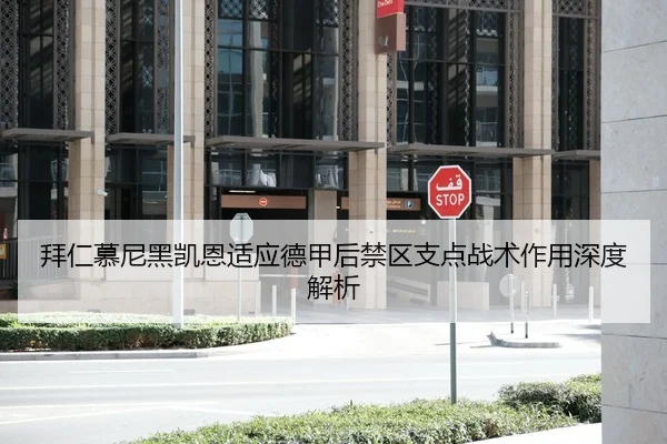 拜仁慕尼黑凯恩适应德甲后禁区支点战术作用深度解析