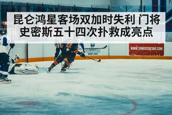 ice hockey match action