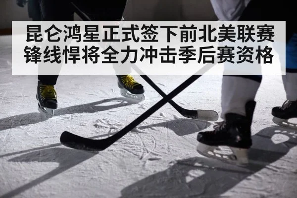 昆仑鸿星正式签下前北美联赛锋线悍将全力冲击季后赛资格